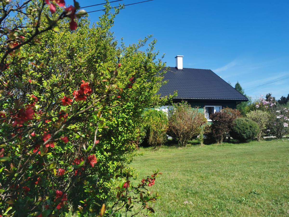 Zielony Zakatek Ciezkowice Exterior foto