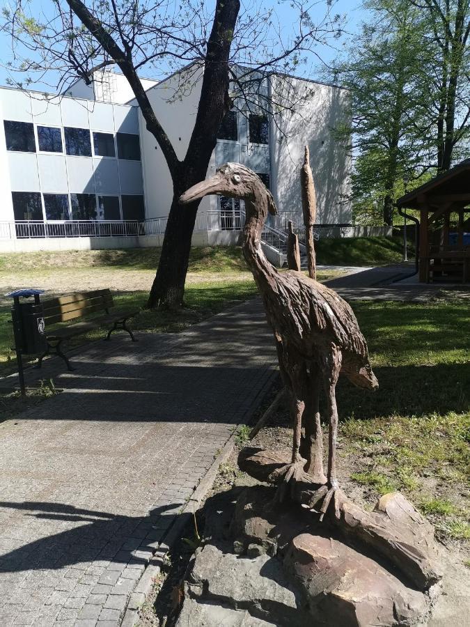 Zielony Zakatek Ciezkowice Exterior foto