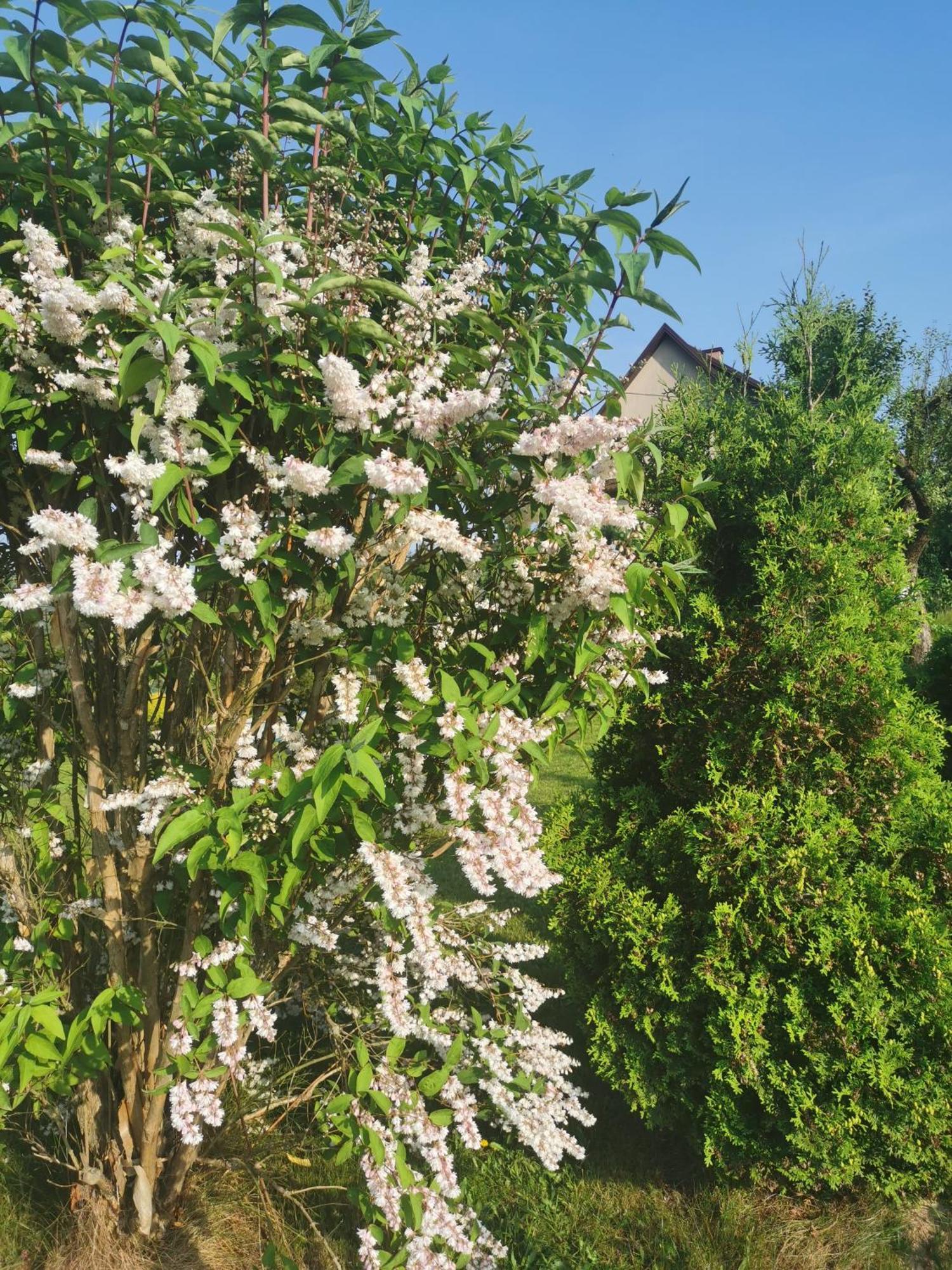 Zielony Zakatek Ciezkowice Exterior foto